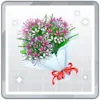 8月18日の花束