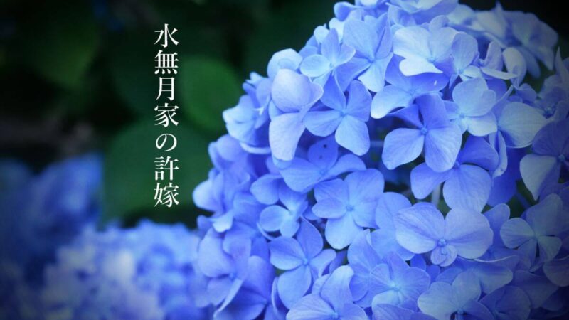 水無月家の許嫁　友麻碧　感想